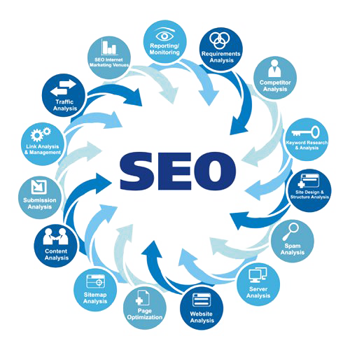 SEO Service Provider Agency